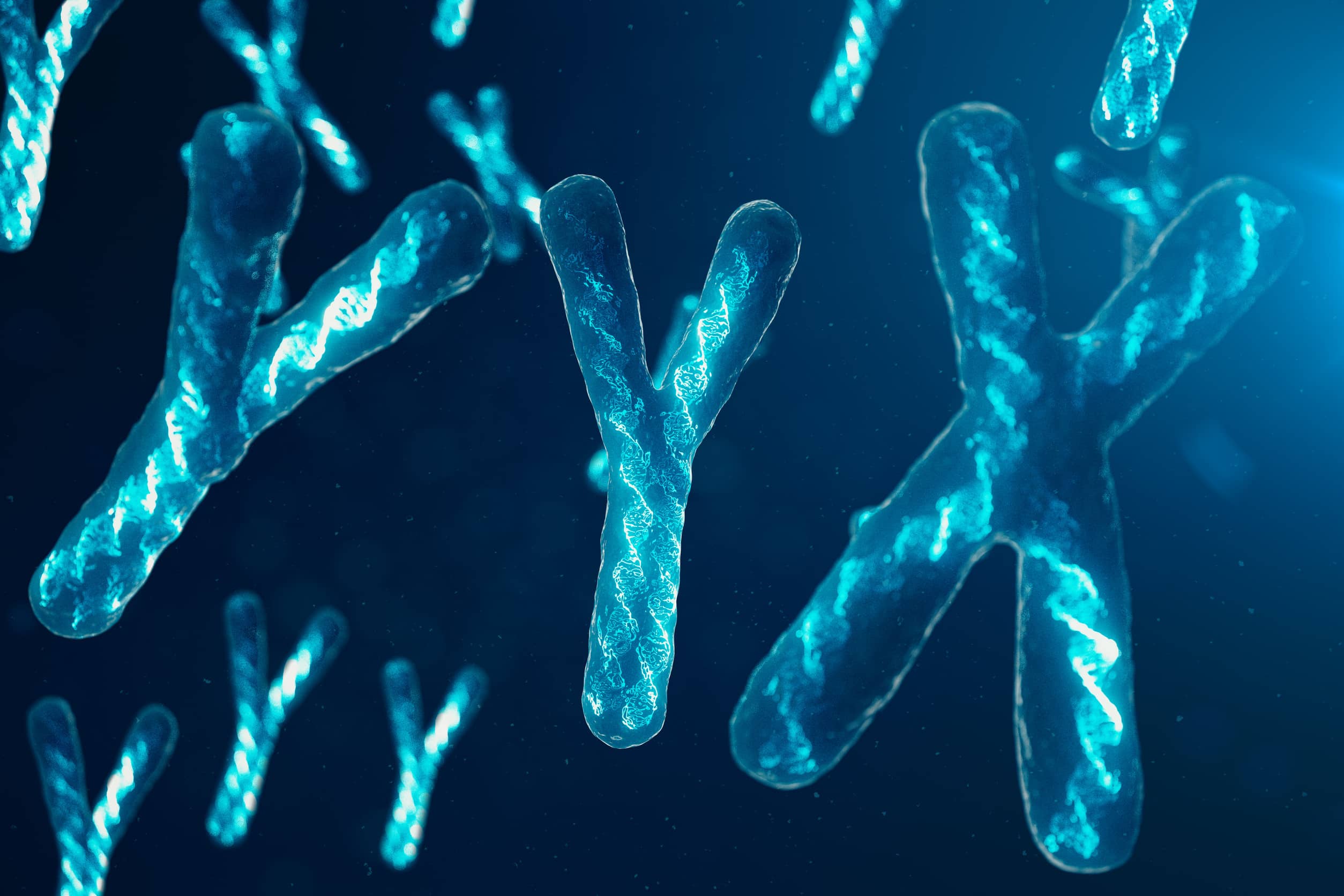 Chromosomy Yyx z dna niosącym kod genetyczny