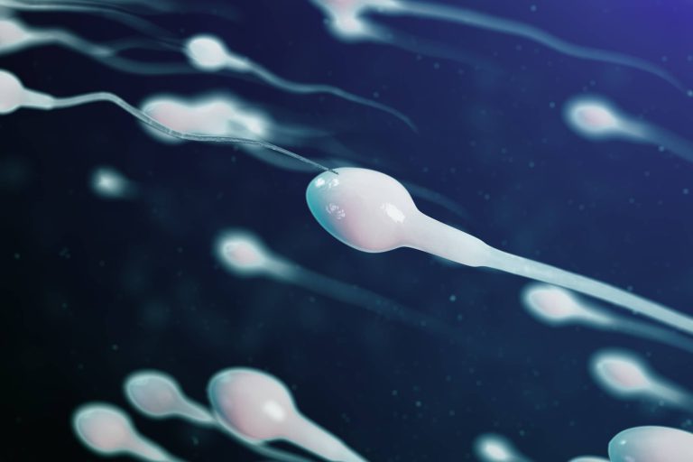 Azoospermia brak plemników w nasieniu