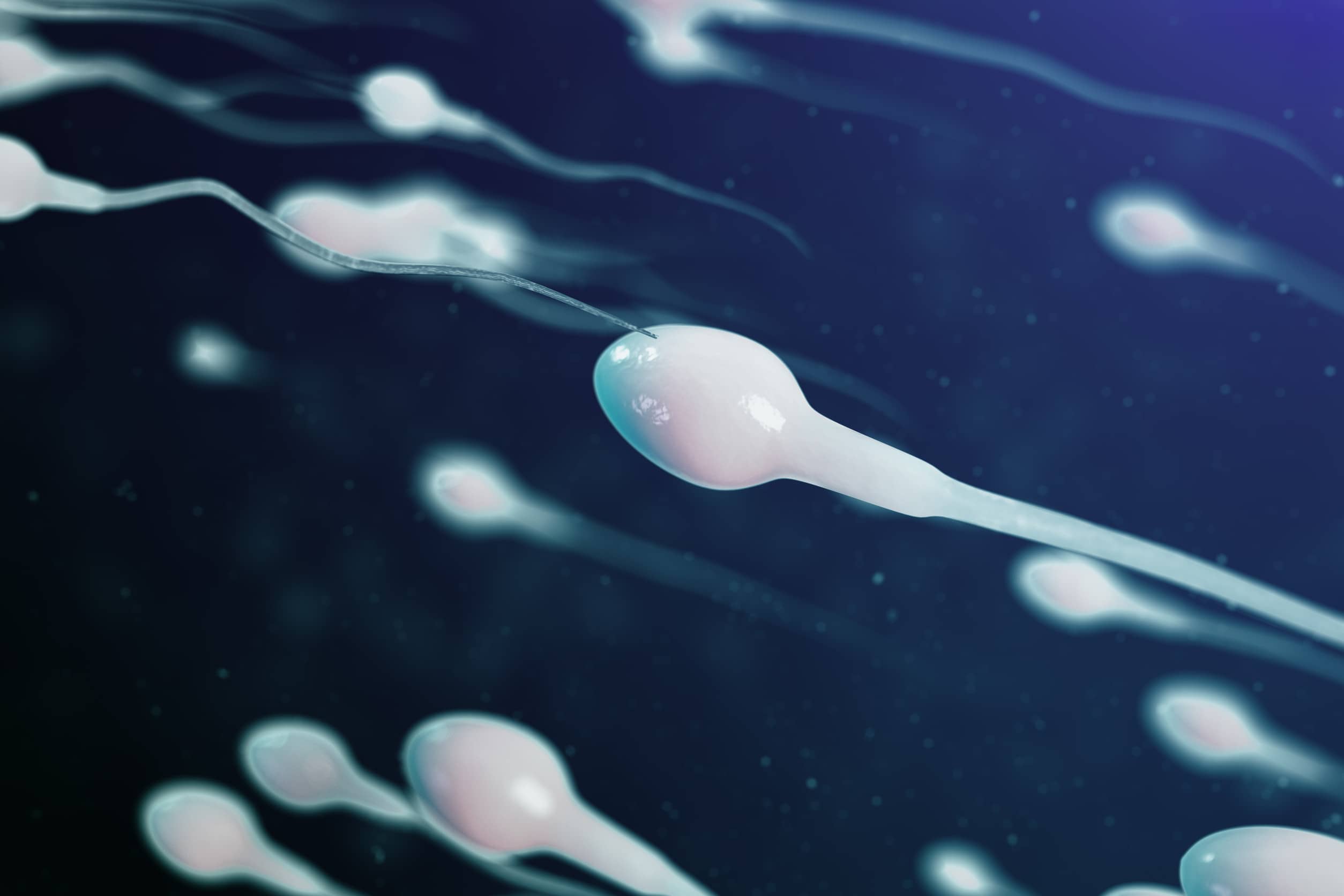 Azoospermia brak plemników w nasieniu