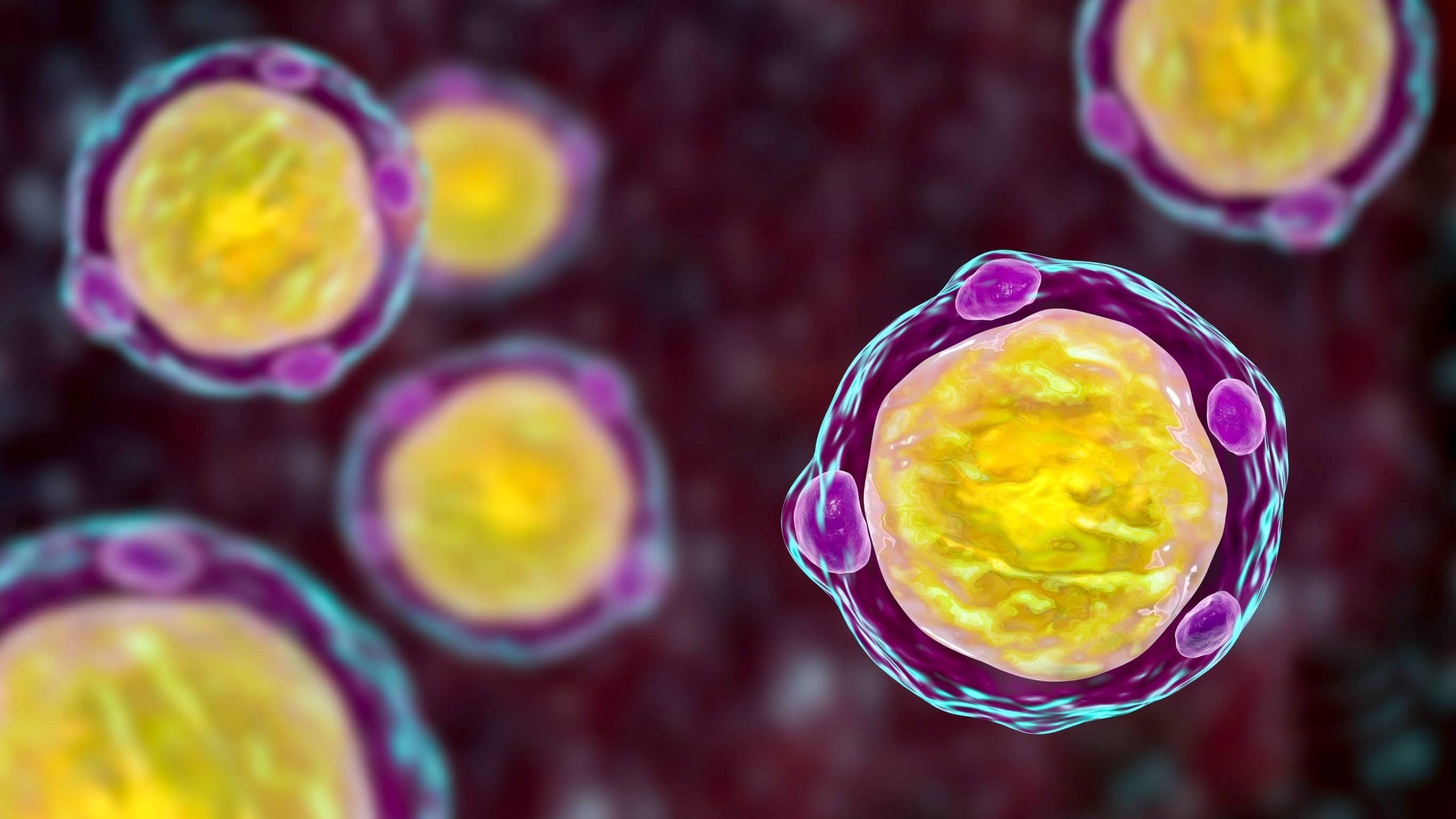 pierwotniaki z rodzaju Blastocystis