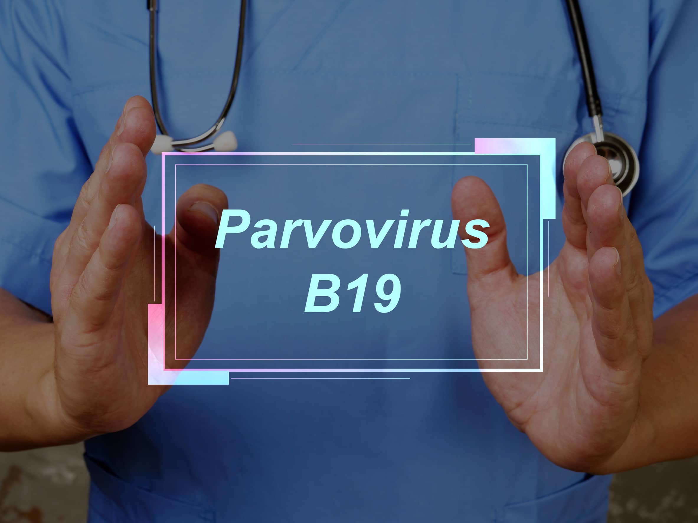 zakażenie parwowirusem B19