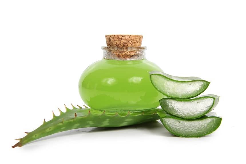 aloes na refluks
