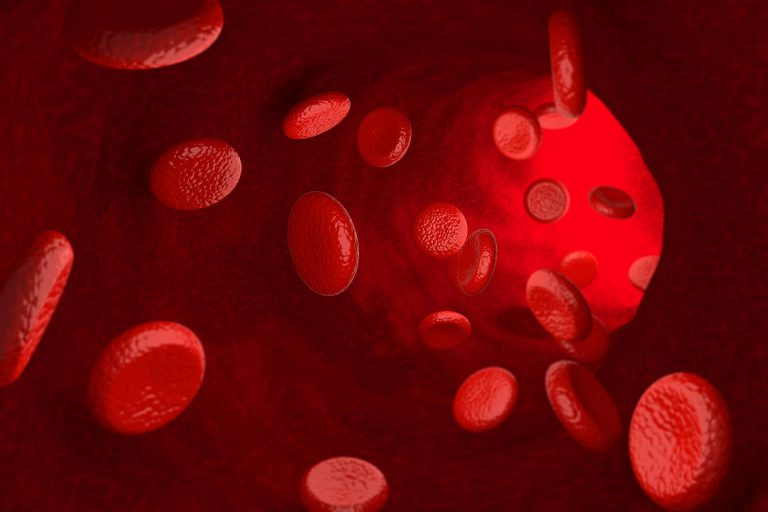 Erytrocyty - czerwone krwinki: normy, funkcje, przyczyny odchyleń i leczenie